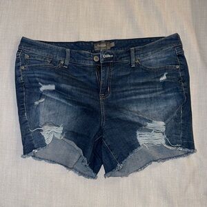Torrid Denim Shorts